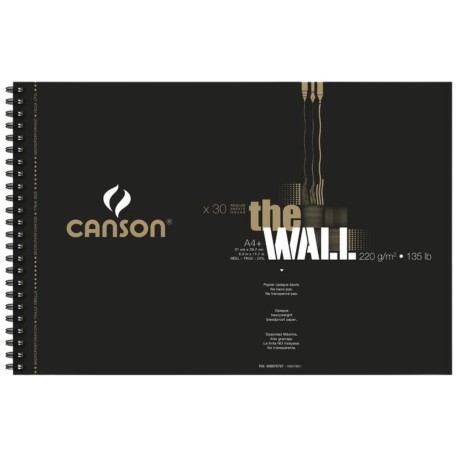 Block De Dibujo Canson The Wall 30 Hojas 220g
