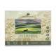 BLOCK MAGNANI 1404 ARTE MODERNA 300G 24X32CM  20 HOJAS