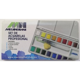 Caja Con 18 Pastillas De Acuarelas Profesionales Mecanorma