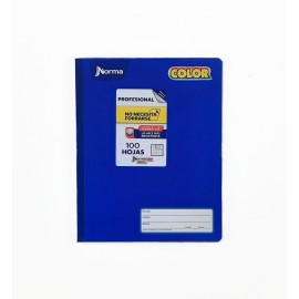 Cuaderno Profesional Cosido Norma Cuadros 100 Hojas