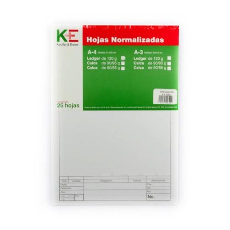 HOJAS NORMALIZADAS KE LEDGER