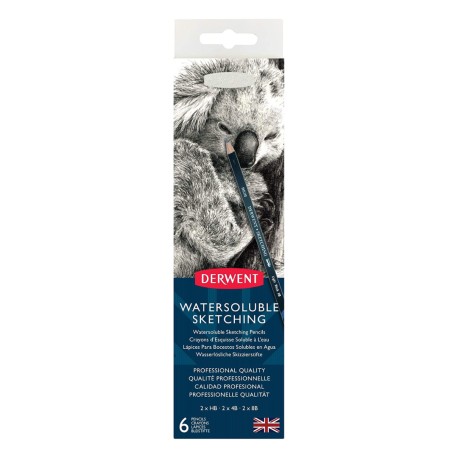 Lápices Acuarelables Para Boceto Sketching 0700837 Derwent Set De 6 Piezas
