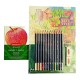 Lápices De Colores Para Principiantes Con Set De Accesorios Para dibujo 2305678 Derwent Academy 17 Piezas