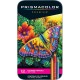 Lápices De Colores Prismacolor Premier Estuche Con 12 Piezas